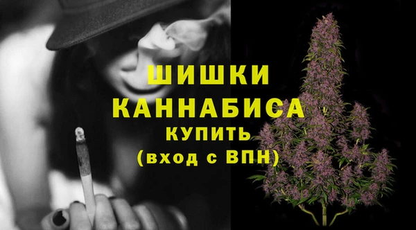 ешки Белокуриха