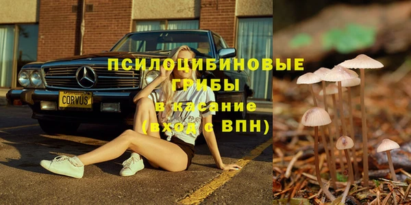 ешки Белокуриха