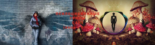 кокаин премиум Беломорск