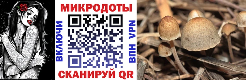 Псилоцибиновые грибы ЛСД  даркнет официальный сайт  Санкт-Петербург 